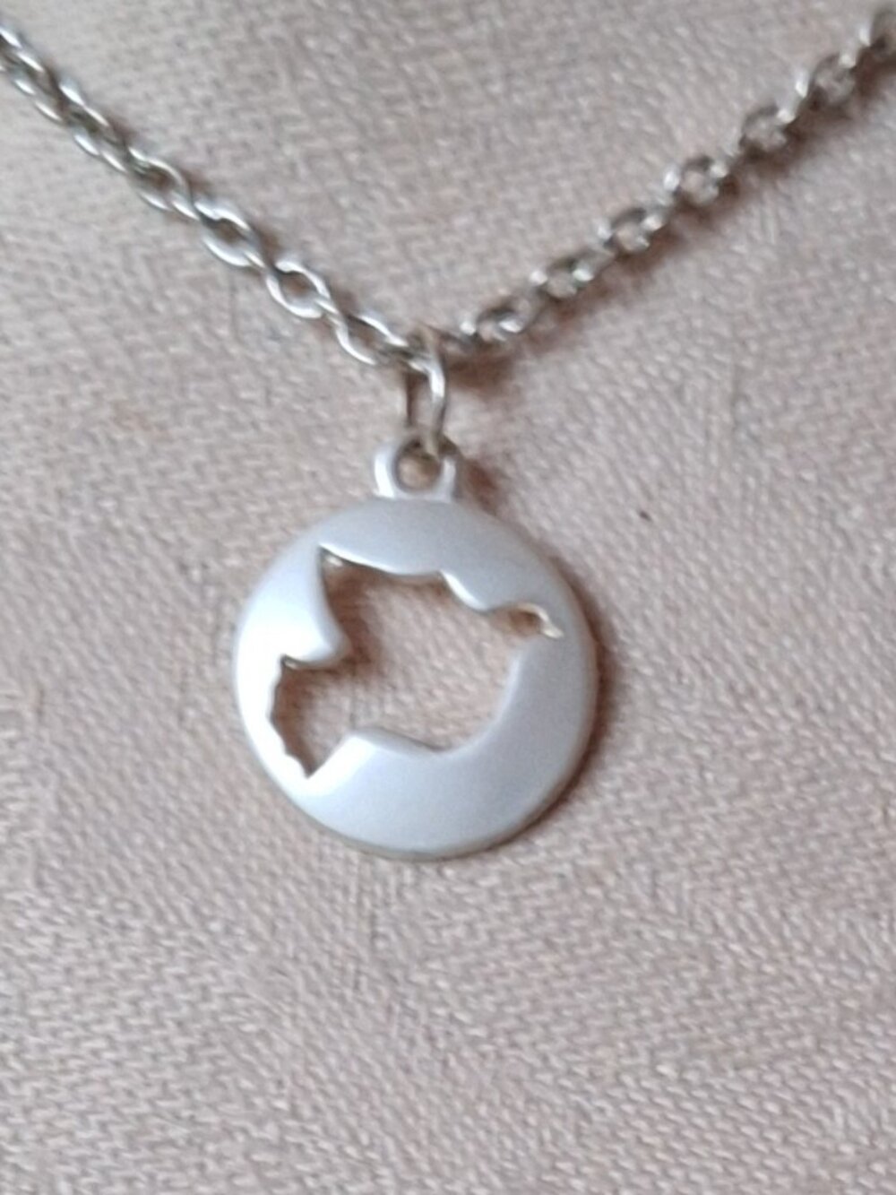 Bird Necklace Pendant on a Silver Coloured Chain